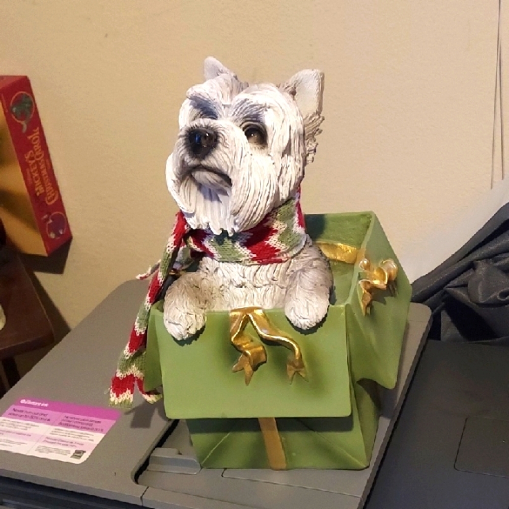 Terrier Pup In Gift Box with Scarf Resin